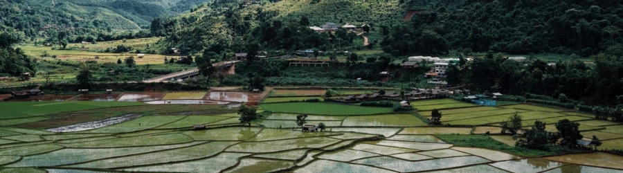 Que faire à la campagne thaïlandaise ?