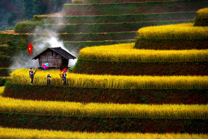 O&ugrave; aller pendant 2 semaines au Vietnam en janvier ?