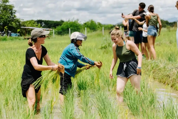 Việt Nam - départ pour un voyage 3 semaines en Asie du Sud-Est mémorable