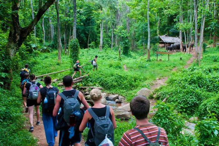 Où randonner au nord Vietnam ?