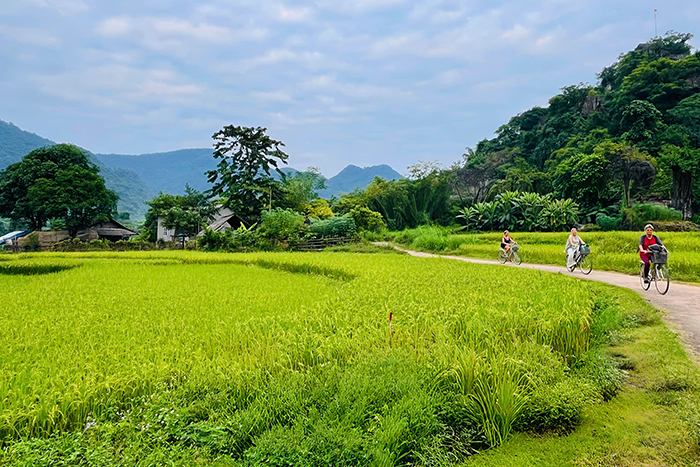 Balade à vélo à Mai Chau