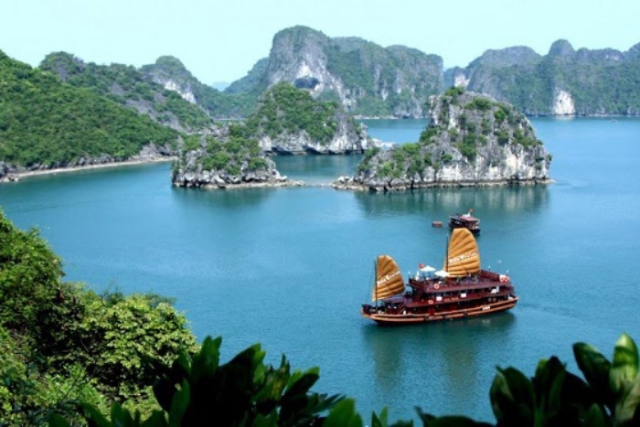 Croisière élégante à Bai Tu Long – Expérience unique lors d’un séjour de luxe au Vietnam