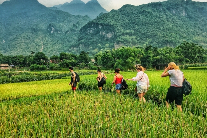 Randonnée à Mai Chau