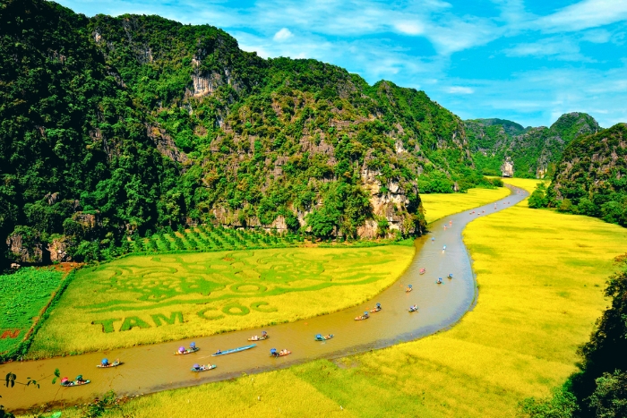Des barques glissent entre les paysages verdoyants de Ninh Binh