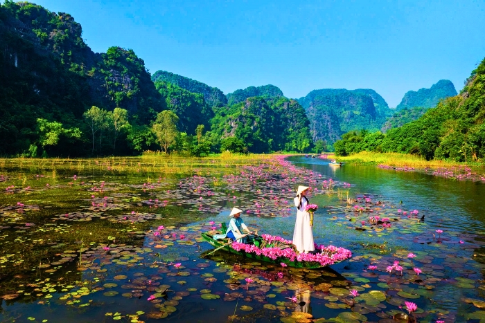 Un voyage entre découverte, réflexion et profondeur culturelle