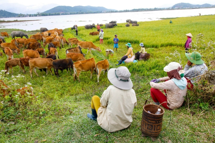 Pourquoi d&eacute;couvrir les Hauts Plateaux du Vietnam en 15 jours ?
