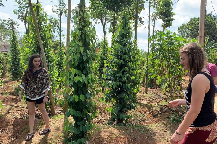 D&eacute;cembre est une p&eacute;riode id&eacute;ale pour explorer des activit&eacute;s dans les Hauts Plateaux Vietnam 15 jours
