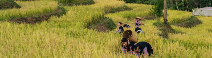 14 jours au Vietnam et au Laos - Choses à faire et à voir