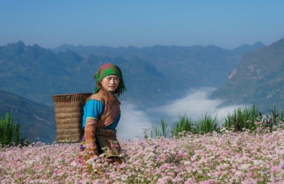 Itinéraire Vietnam 2 Semaines Avec Ha Giang Loop