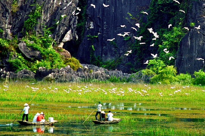 Barque à Van Long, parfait pour savoir que faire au Vietnam en janvier