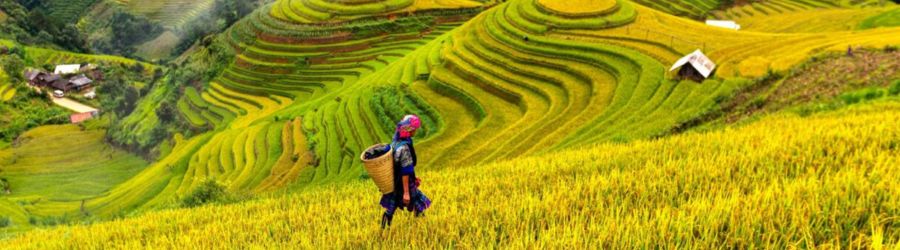 Vietnam 3 semaines en famille : une aventure inoubliable&nbsp;