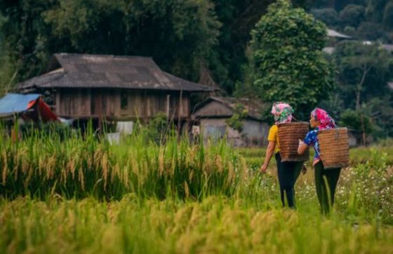 Vietnam 3 Semaines Pour Seniors - Quel Itinéraire Choisir ?
