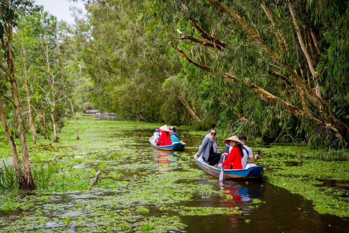 Excursion en sampan dans la forêt de cajeputiers de Tra Su, au cœur du delta du Mékong.