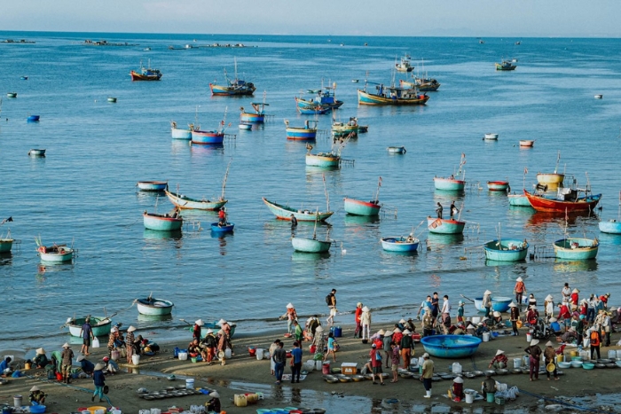 Le marché de fruits de mer à Mũi Né