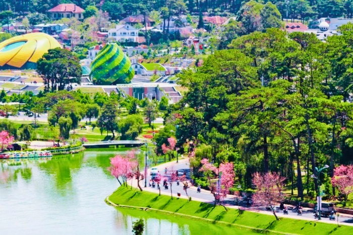 Couleurs saisonnières à Đà Lạt avant le Nouvel An lunaire