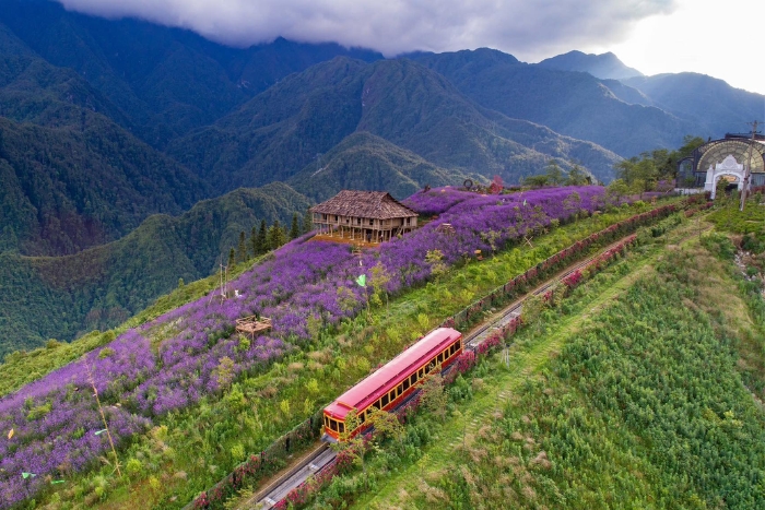 Train de montagne Muong Hoa à Sapa
