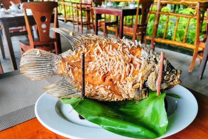 Poisson 