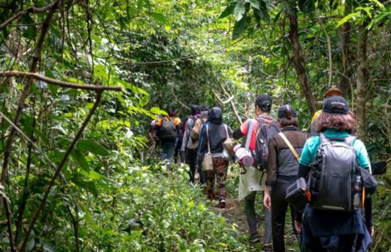 Avis De Litinéraire Ba Be 5 Jours, Vietnam Avec Famille De M. Martine
