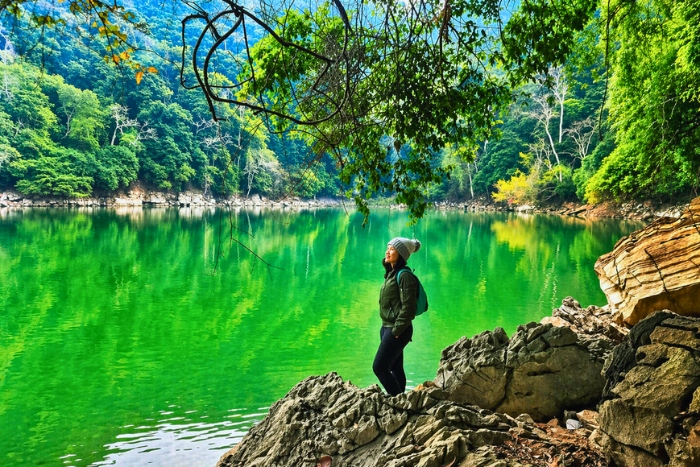 Contempler la s&eacute;r&eacute;nit&eacute; de l&rsquo;&eacute;tang de f&eacute;es au c&oelig;ur de la nature