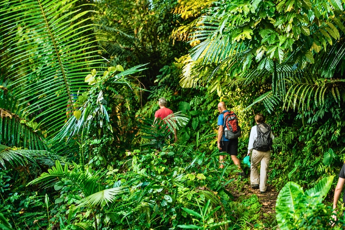 Que faire au lac Ba Be ? Partir en trekking dans le parc national de Ba Be