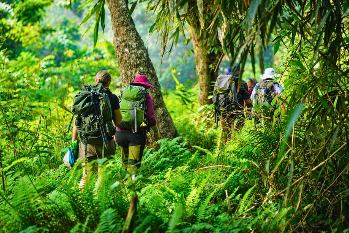 S&rsquo;aventurer dans le parc national de Ba Be et d&eacute;couvrir une nature pr&eacute;serv&eacute;e