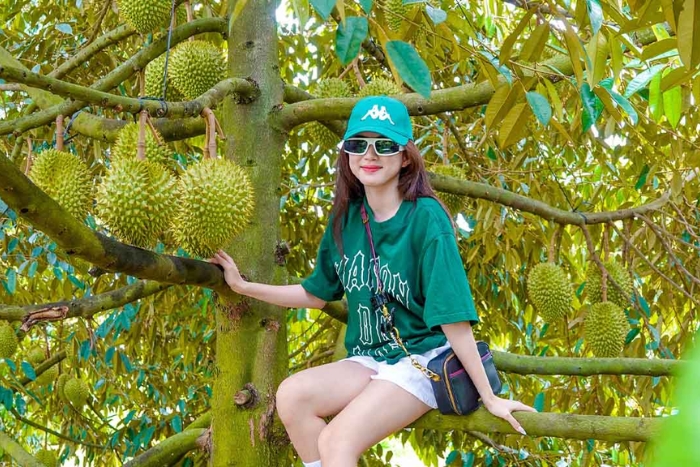 Visite du verger fruitier de Cai Mon