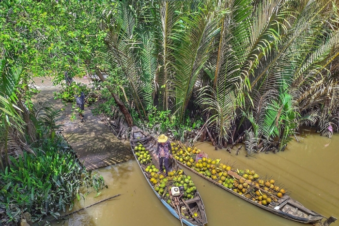 Ben Tre, une ville réputée pour ses paysages idylliques et sa production de noix de coco