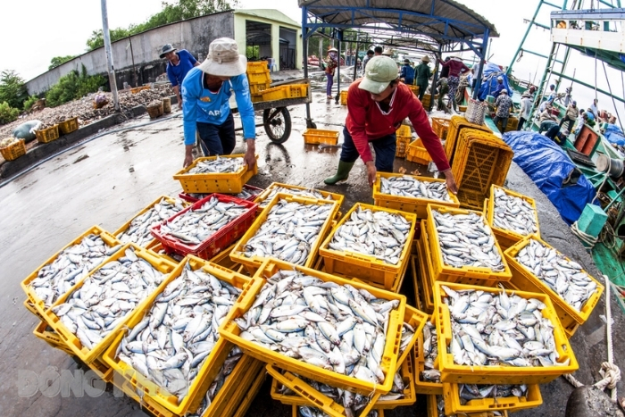 Village de poisson séché d’An Thuy