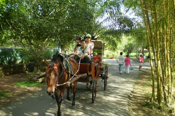 Découverte des villages ruraux en calèche