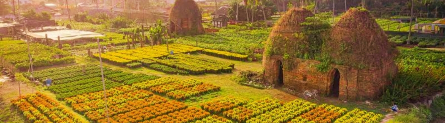 Que faire &agrave; Ben Tre ? Visiter Cho Lach