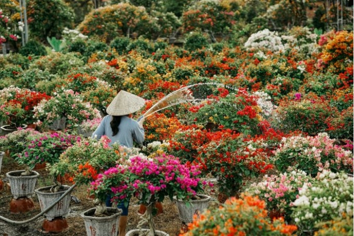 D&eacute;couvrir le village de fleurs de C&aacute;i Mơn