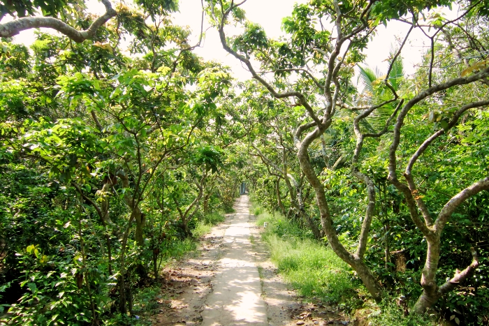 Cồn Quy (Îlot de la Tortue), où faire du vélo à Ben Tre ?