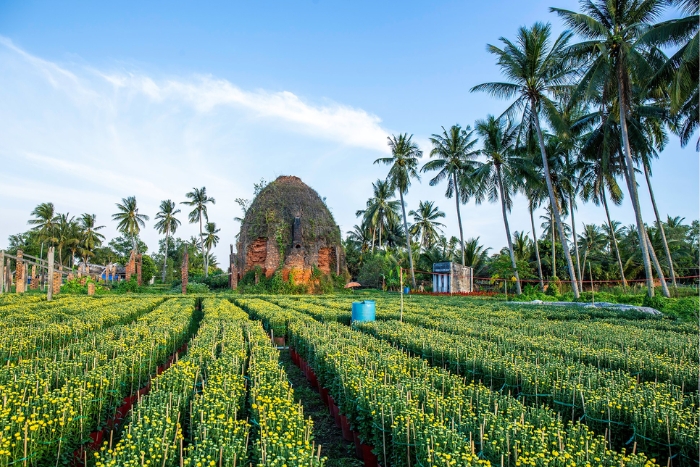 Village de fleurs Cai Mon dans votre circuit à vélo à Ben Tre