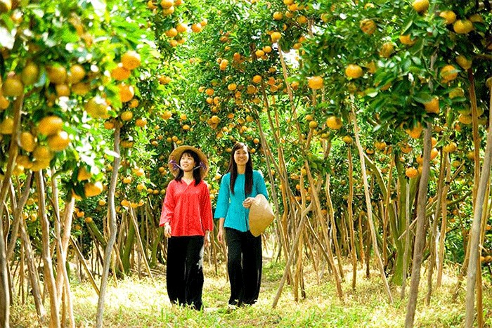 Le jardin fruitier de Cai Mon