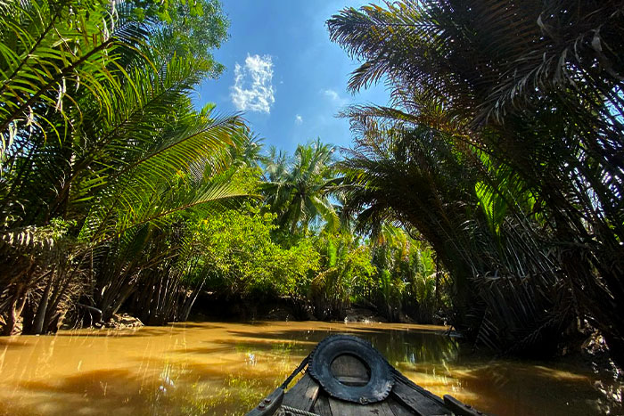 Un aperçu de Ben Tre : Une province au climat unique