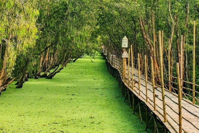 Que visiter à An Giang ? la forêt de Tra Su