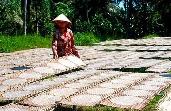 Que Faire à Ben Tre ? Visiter Le Village Dartisanat Du Papier De Riz De My Long à Ben Tre, Vietnam