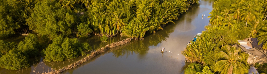 Découverte de la vie locale à Ben Tre Vietnam