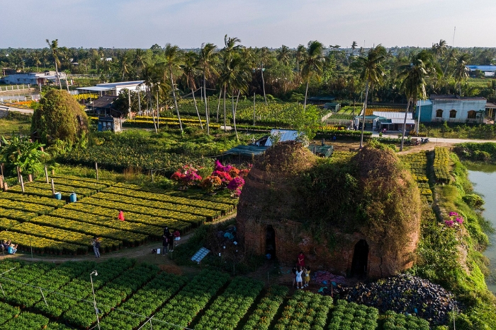 Des expériences inoubliables au cœur des villages artisanaux de Ben Tre