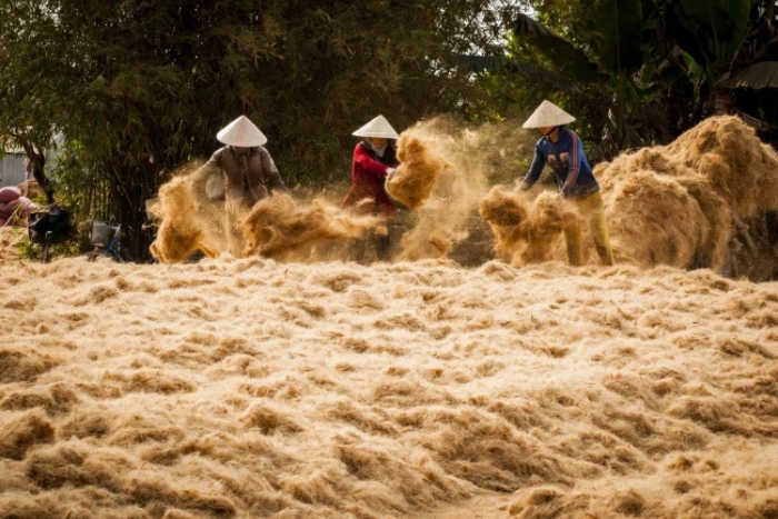 L’artisanat autour du cocotier à découvrir lors de votre voyage pour visiter Ben Tre
