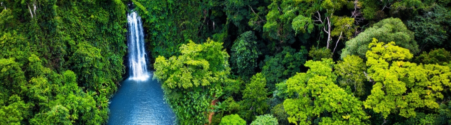 La nature sauvage des hauts plateaux Vietnam 3 jours - Avis de M. Anchol