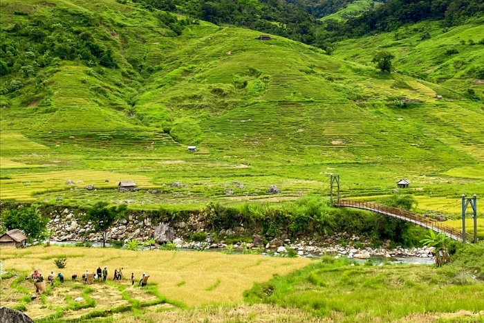 Paysage autour du pied de la montagne Ngoc Linh