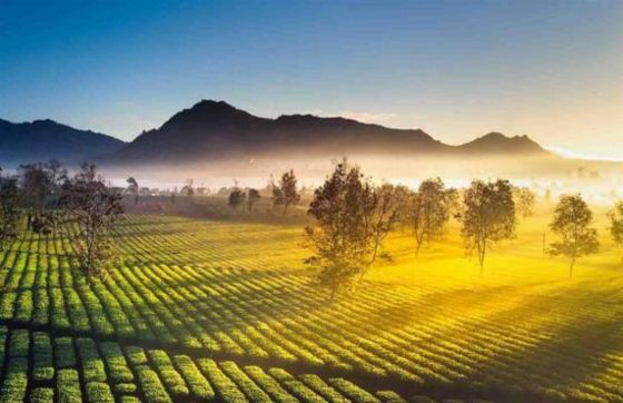 Avis De 5 Jours Aux Hauts Plateaux Du Centre Vietnam Par M. Hamid