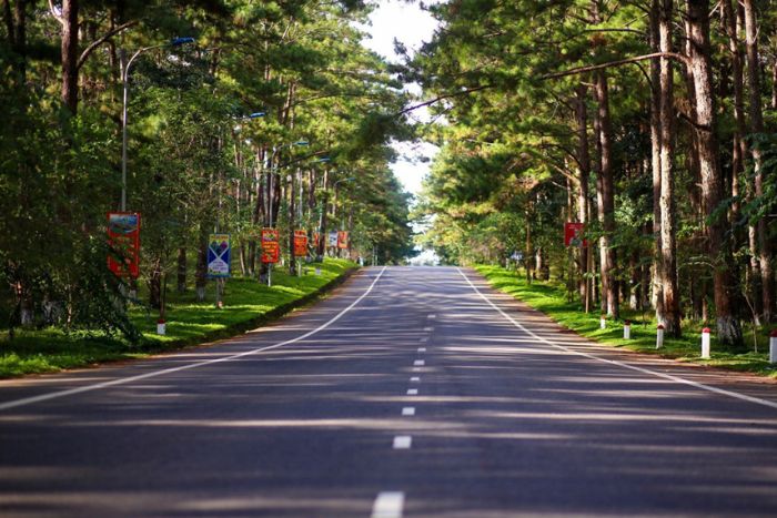 La forêt luxuriante de Mang Đen est pure et rafraîchissante