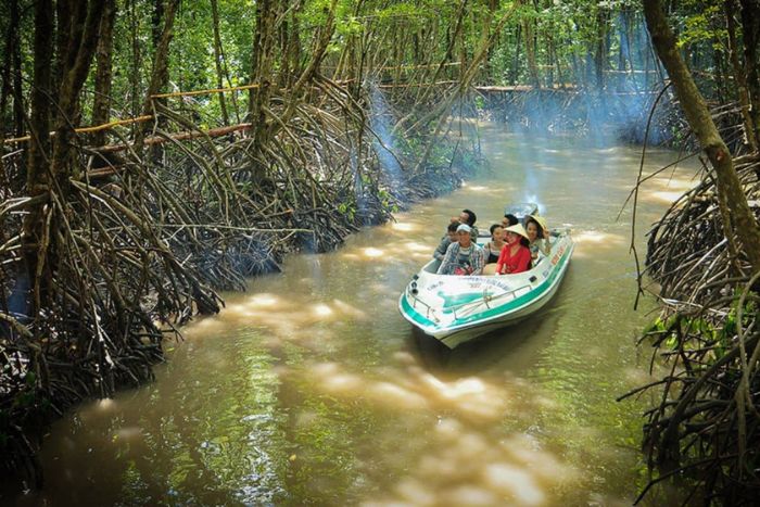 Forêt de mangrove primitive dans le parc national de Cap Ca Mau