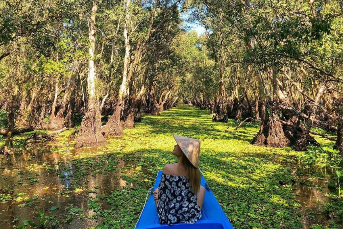 Que faire à Can Tho - Ca Mau - Bac Lieu en 6 jours ? Excursion en bateau dans la forêt de cajeputiers de Tra Su