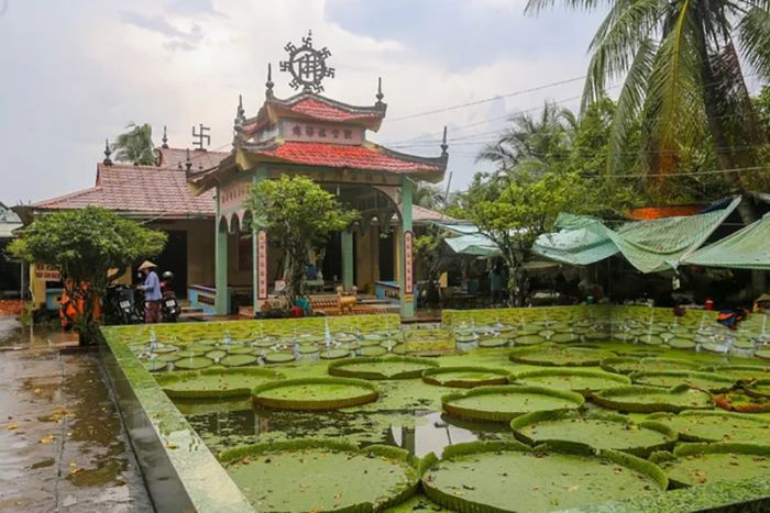 Pagode de Lotus à Sadec