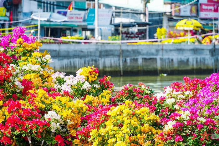 Voyager à Can Tho au printemps
