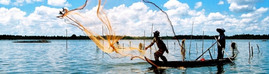 Quand partir à Can Tho ? Meilleure période pour visiter Can Tho