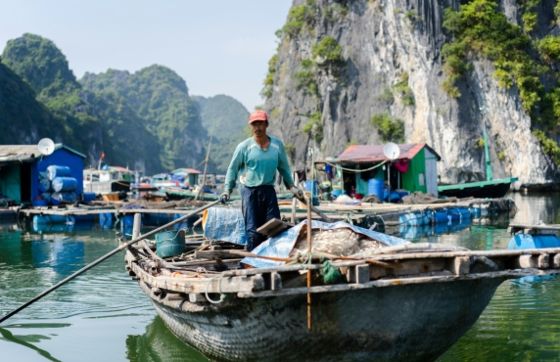 Découverte Le Village Flottant De Cai Beo Sur Lîle De Cat Ba